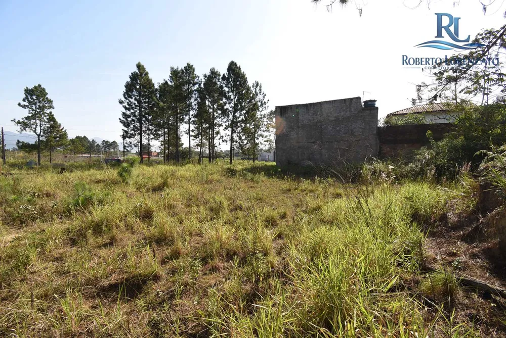 Terreno, 250 m² - Foto 5