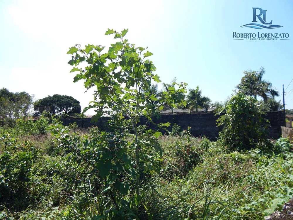 Terreno, 1320 m² - Foto 1