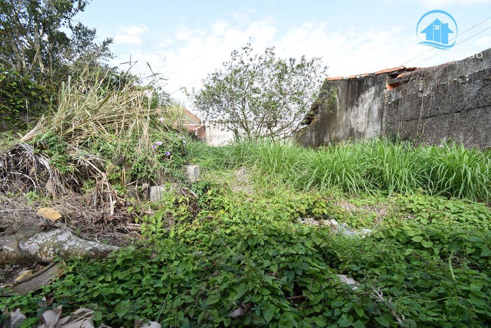 Terreno, 250 m² - Foto 5