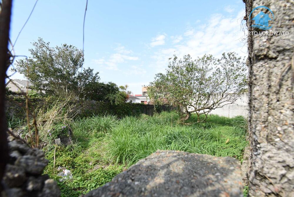 Terreno, 250 m² - Foto 6
