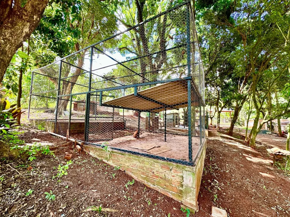 Chácara, 3 quartos, 2 hectares - Foto 22