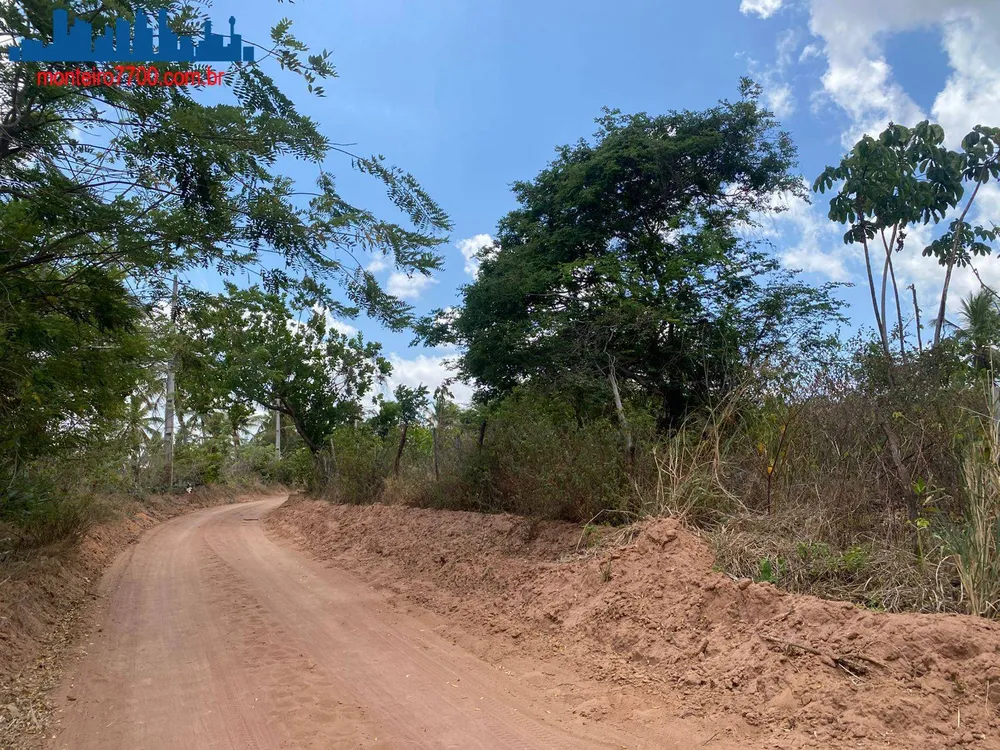 Terreno, 2 hectares - Foto 6