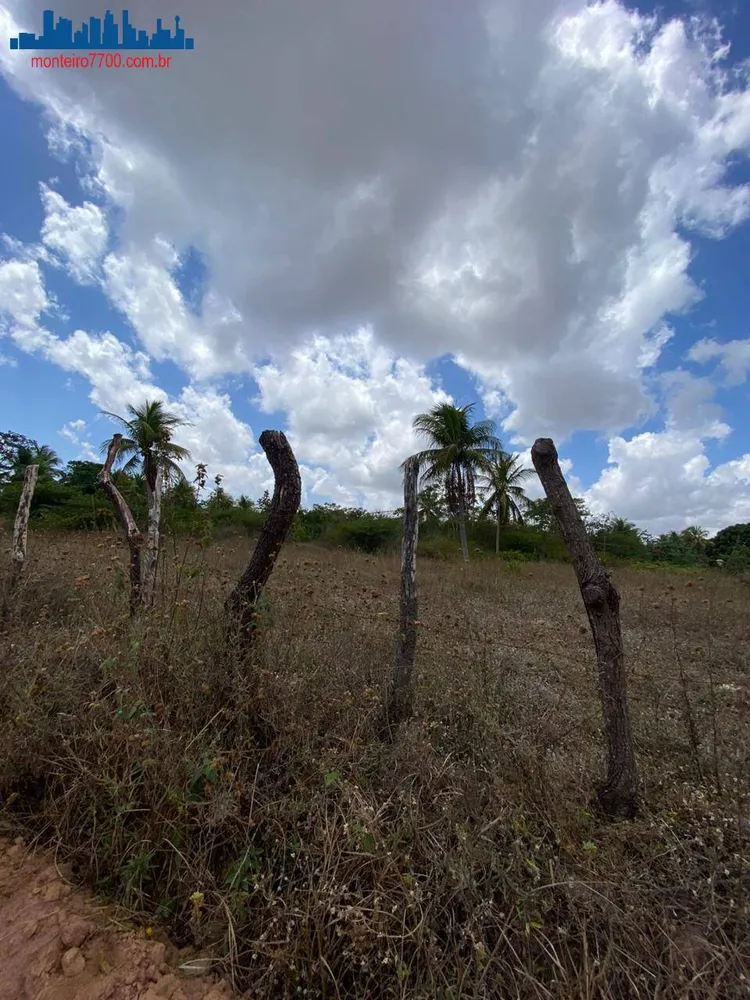 Terreno, 2 hectares - Foto 4