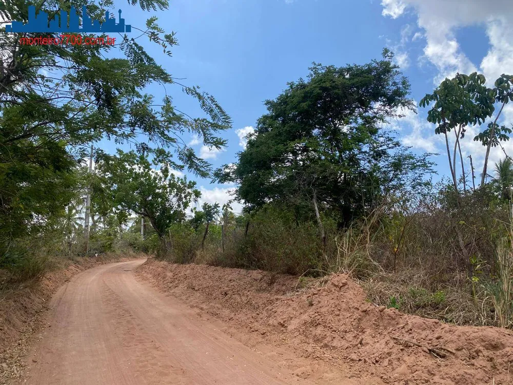 Terreno, 2 hectares - Foto 7