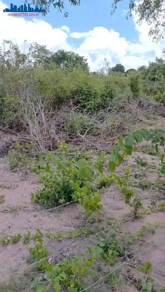 Terreno, 1 hectares - Foto 7