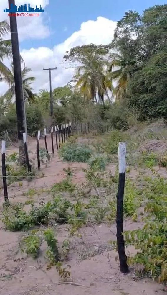 Terreno, 1 hectares - Foto 1