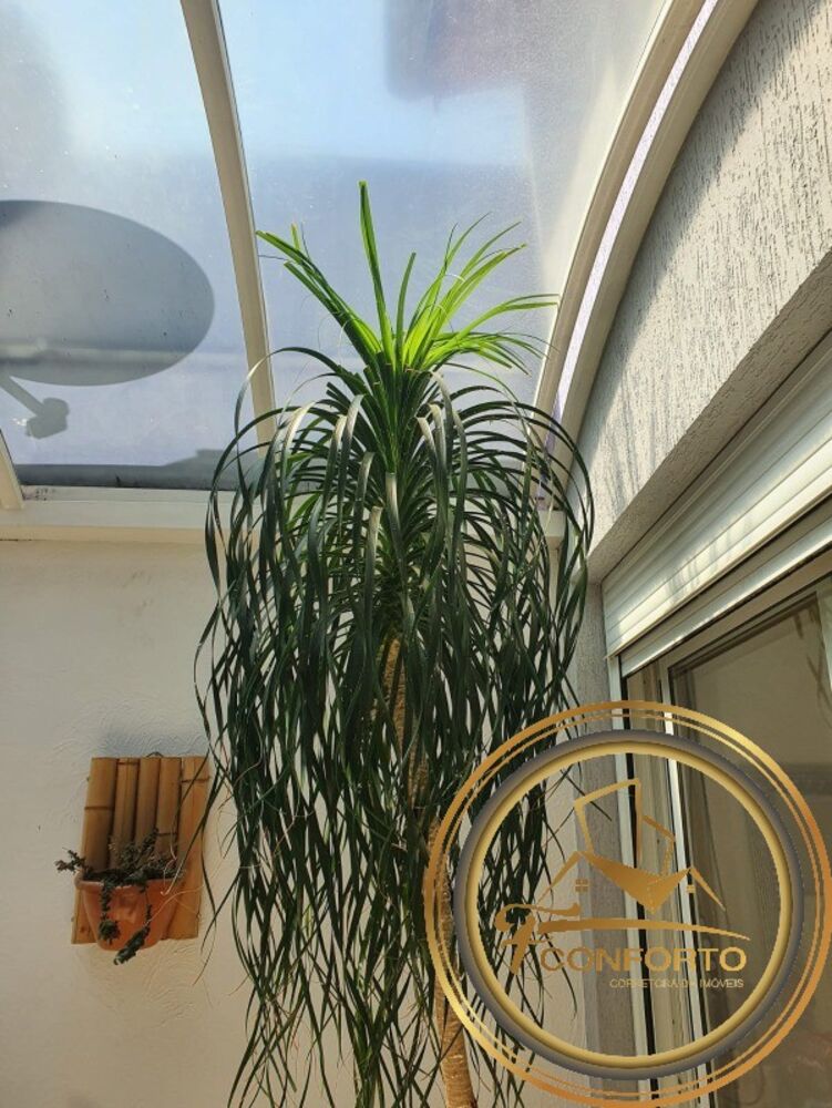 Casa, 3 quartos, 229 m² - Foto 16