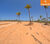 Terreno, 300 m² - Foto 17