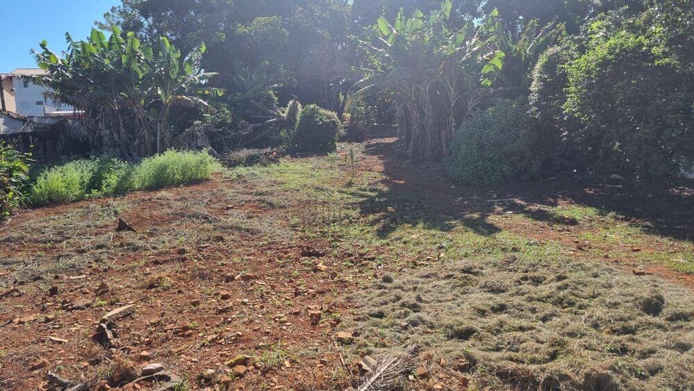 Terreno, 3677 m² - Foto 4