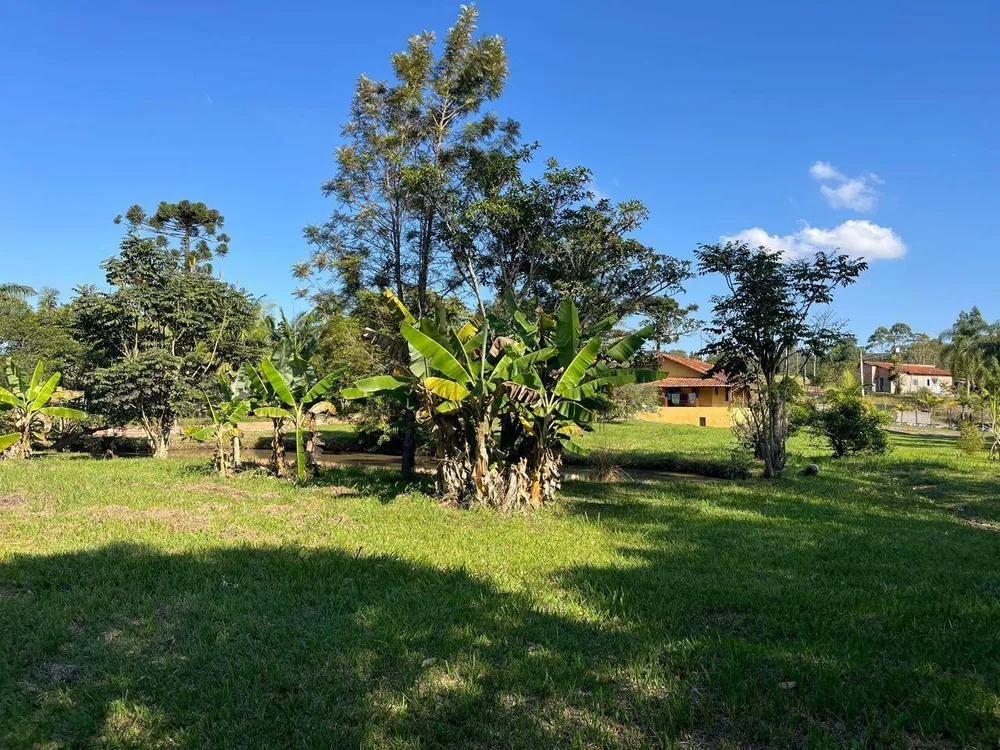 Chácara, 3 quartos, 5000 m² - Foto 4
