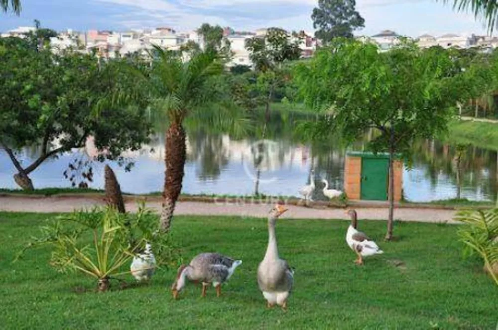 Loteamento e Condomínio, 423 m² - Foto 6