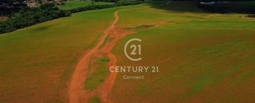 Terreno, 237 hectares - Foto 9