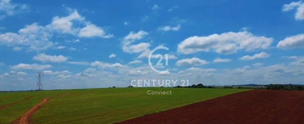 Terreno, 237 hectares - Foto 4
