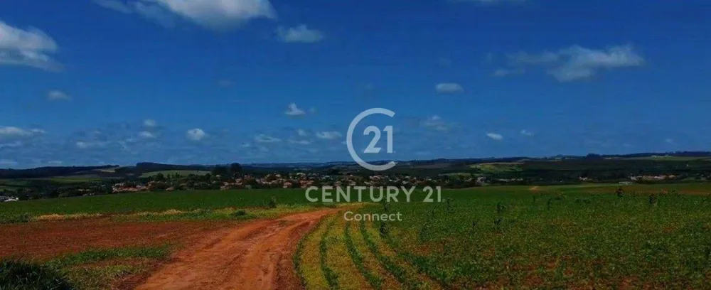 Terreno, 237 hectares - Foto 7