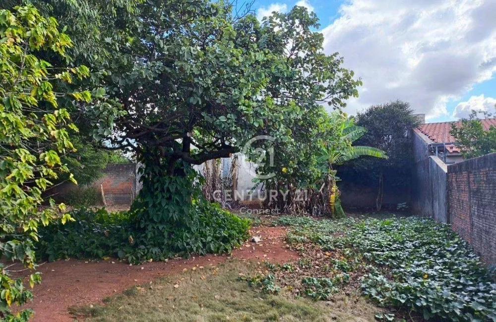 Terreno, 1854 m² - Foto 5