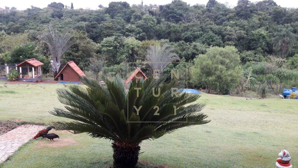 Chácara, 3 quartos, 3285 m² - Foto 1