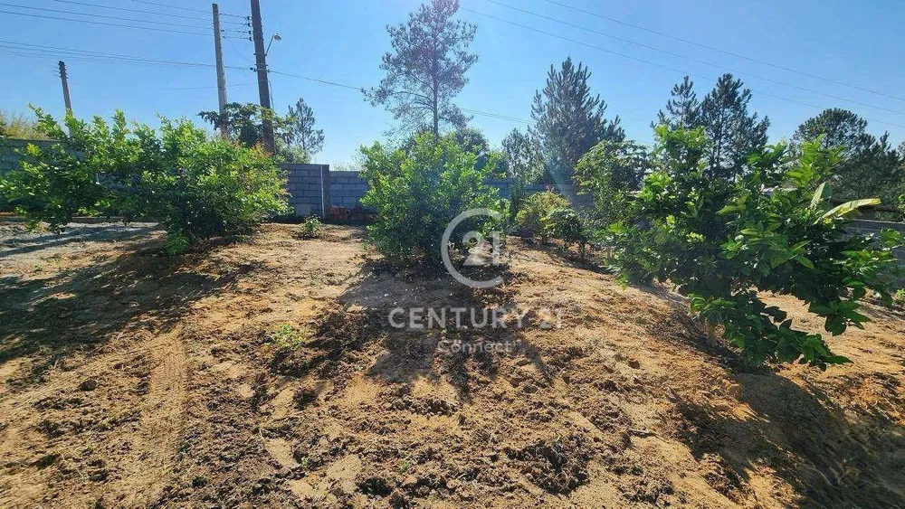 Chácara, 2 quartos, 1200 m² - Foto 5