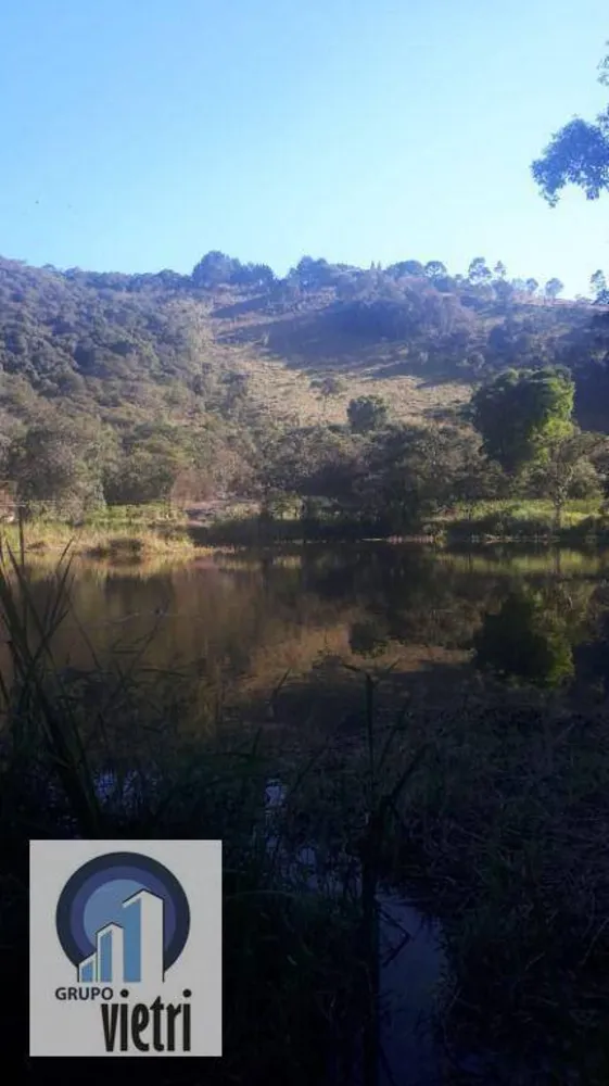 Terreno, 44 hectares - Foto 4