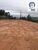 Depósito-Galpão, 2000 m² - Foto 8