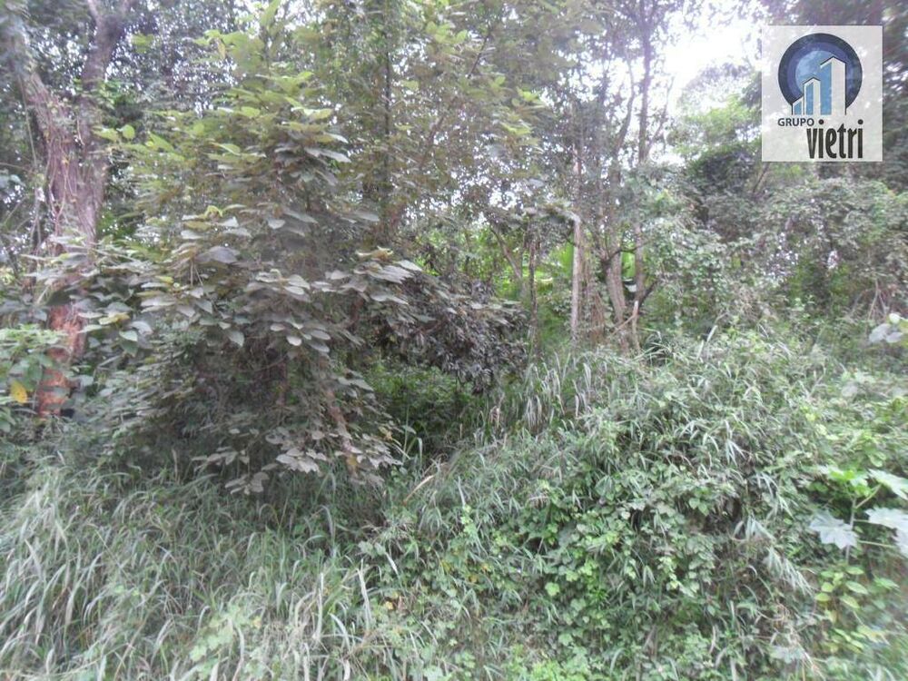 Terreno, 2000 m² - Foto 4