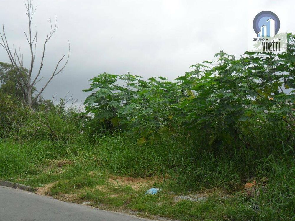 Terreno, 2000 m² - Foto 5