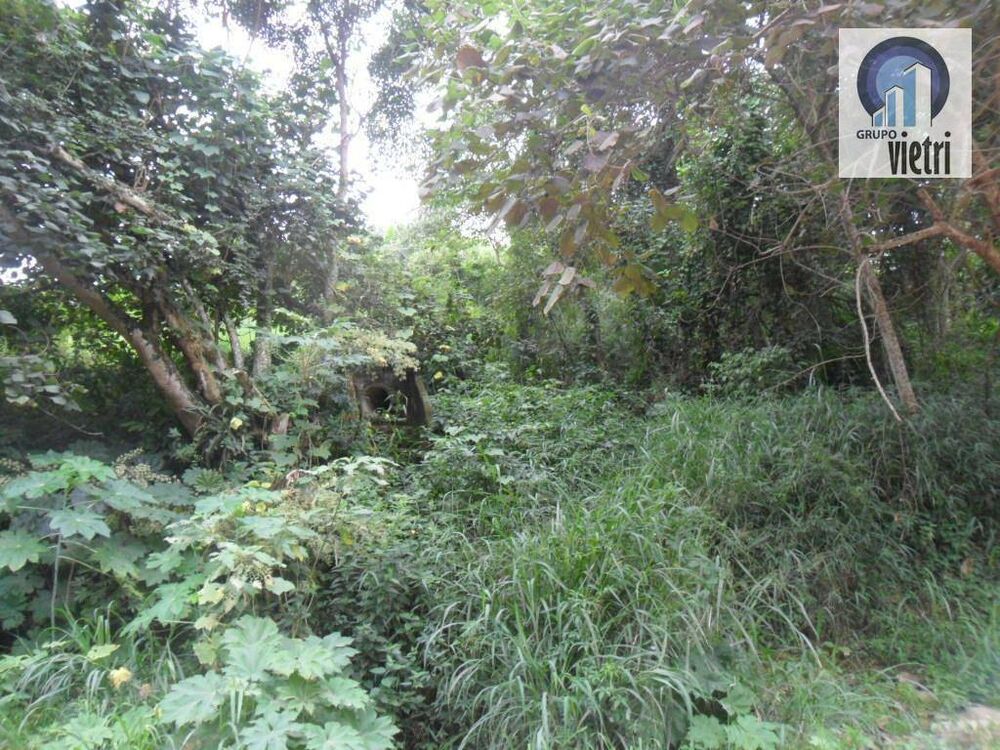 Terreno, 2000 m² - Foto 3