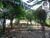 Terreno, 500 m² - Foto 3