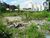 Terreno, 7700 m² - Foto 6