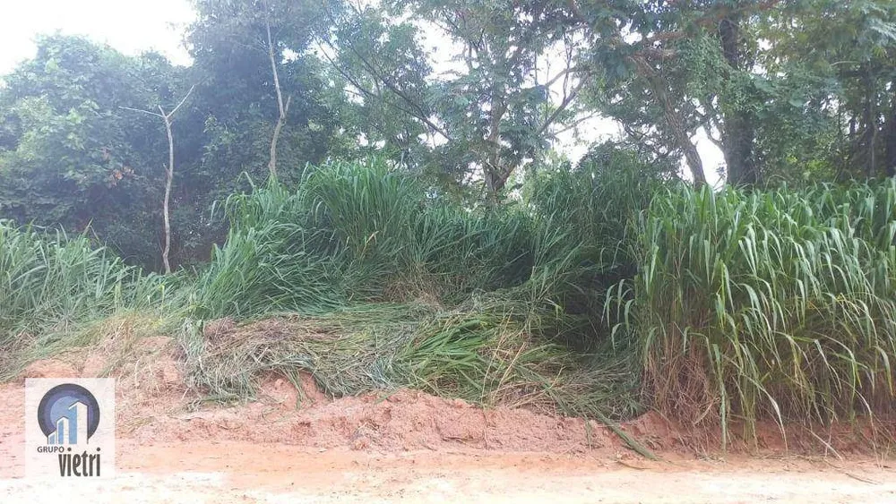 Terreno, 4 hectares - Foto 1