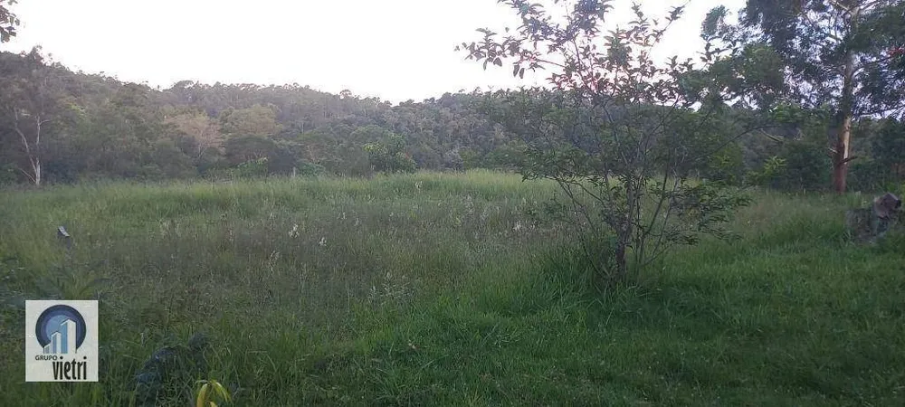 Terreno, 4 hectares - Foto 2