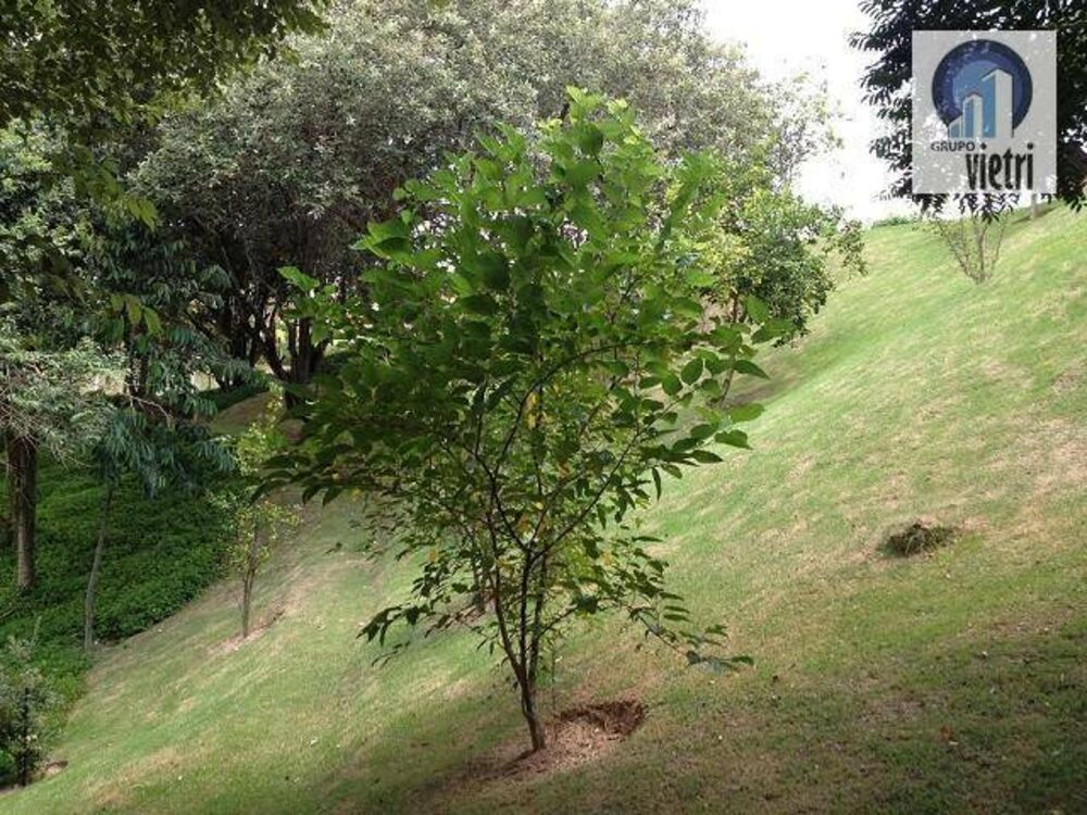 Chácara à venda com 3 quartos - Foto 2