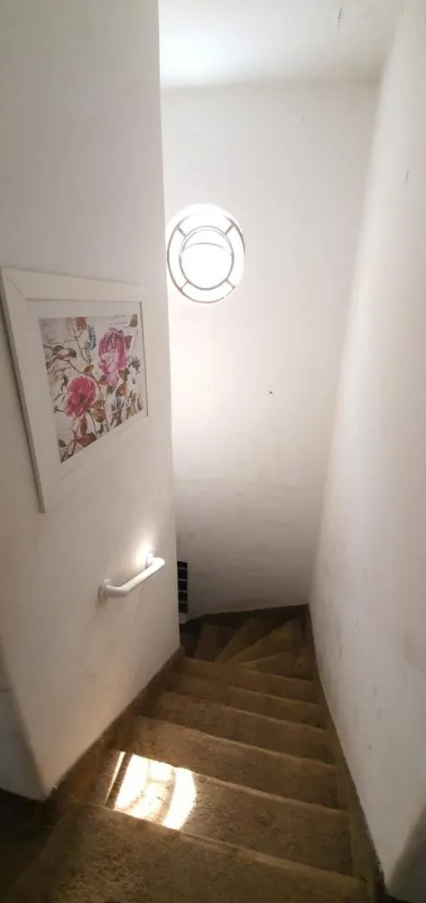 Casa, 3 quartos, 398 m² - Foto 4