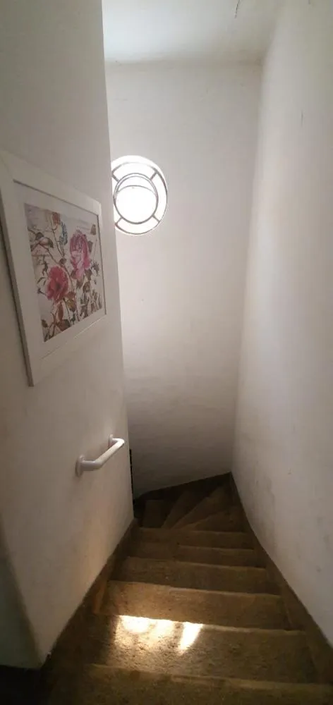 Casa, 3 quartos, 398 m² - Foto 5