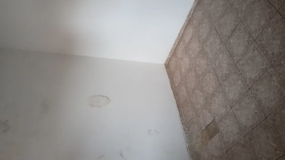 Casa, 4 quartos - Foto 4