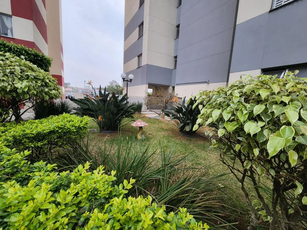 Apartamento, 3 quartos, 60 m² - Foto 6