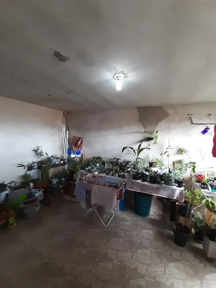 Casa, 4 quartos, 486 m² - Foto 4