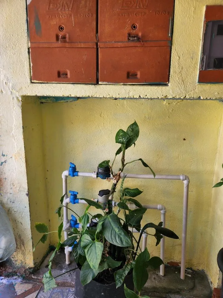 Casa, 7 quartos, 125 m² - Foto 7