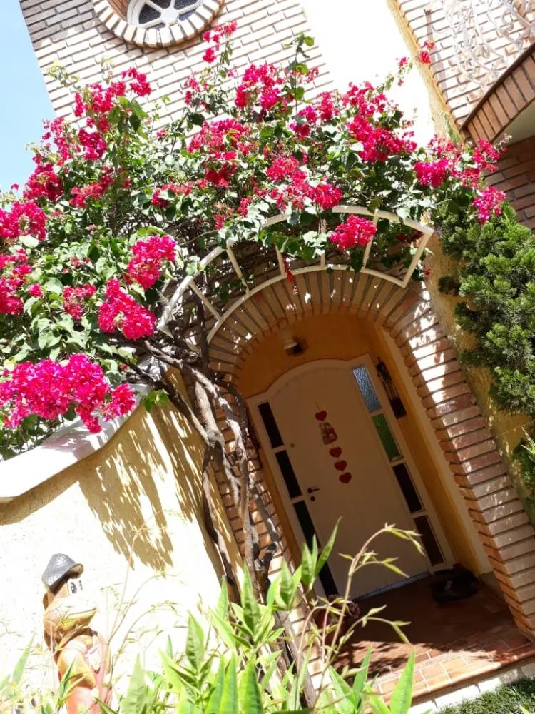 Casa, 3 quartos, 170 m² - Foto 8