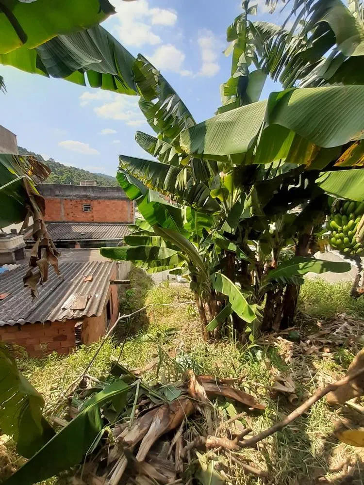 Casa, 4 quartos, 212 m² - Foto 1