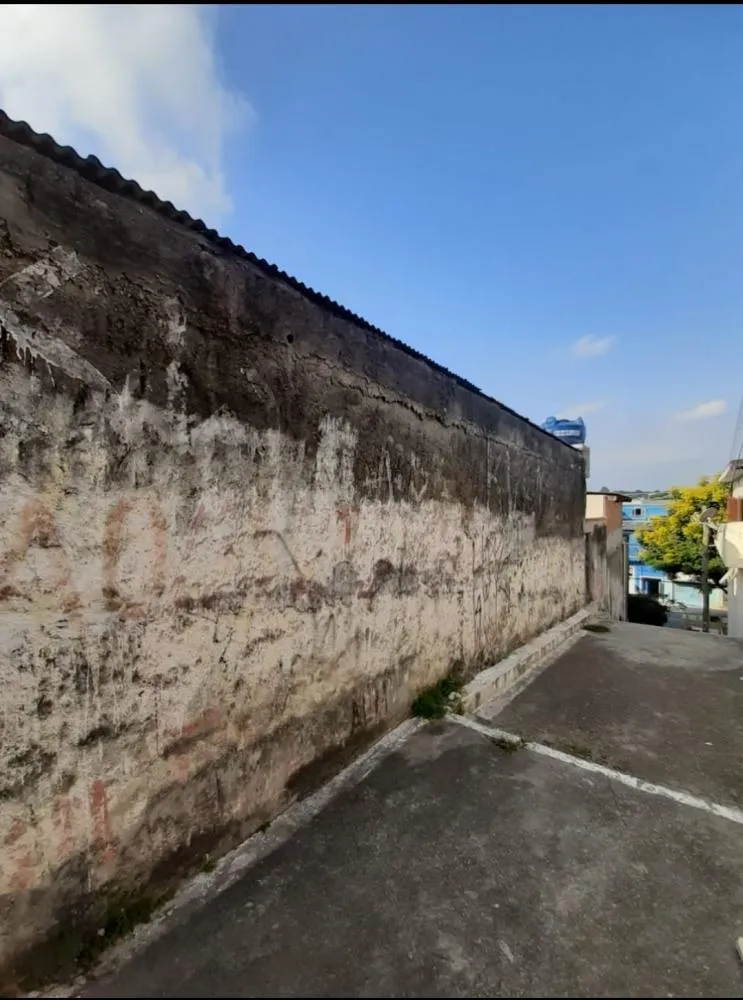 Casa, 5 quartos, 400 m² - Foto 7