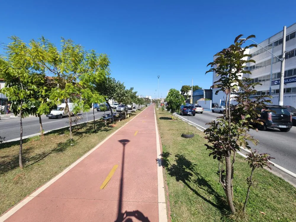 Terreno, 235 m² - Foto 8