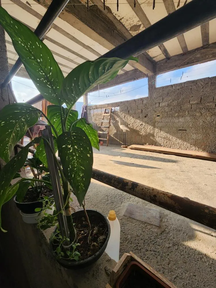 Casa, 4 quartos, 125 m² - Foto 5