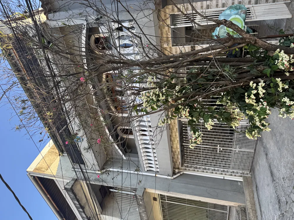 Casa, 8 quartos, 244 m² - Foto 2