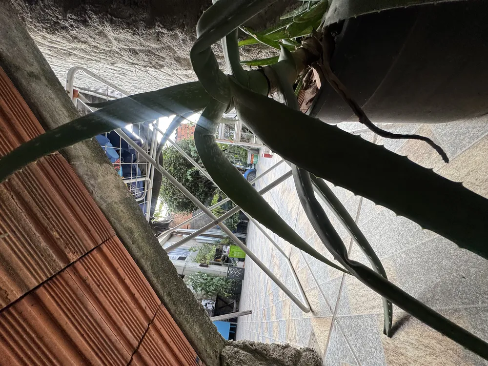 Casa, 6 quartos, 264 m² - Foto 10