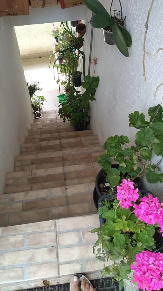 Casa, 7 quartos, 168 m² - Foto 6