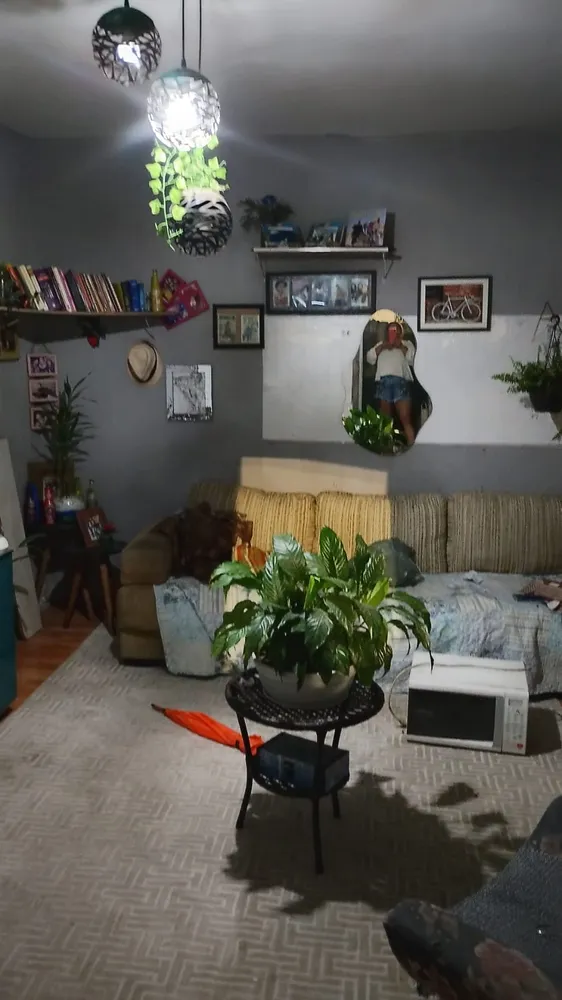 Casa, 4 quartos - Foto 6