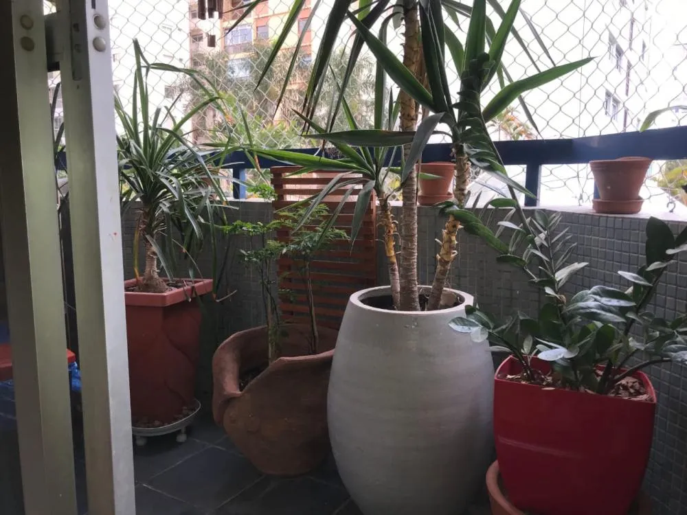 Apartamento, 2 quartos, 78 m² - Foto 3