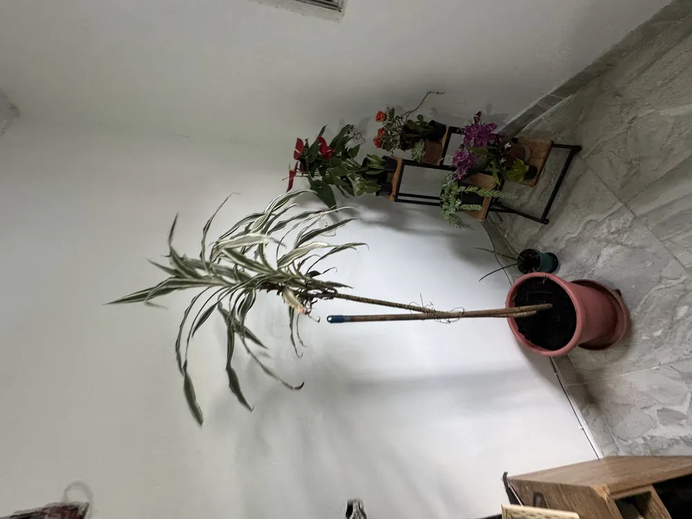 Apartamento, 1 quarto - Foto 5
