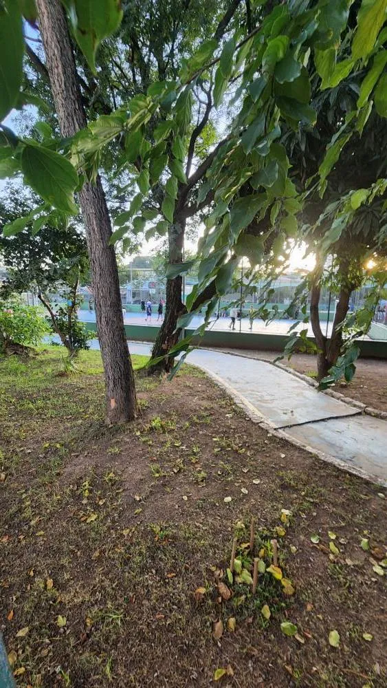 Casa, 3 quartos, 264 m² - Foto 7