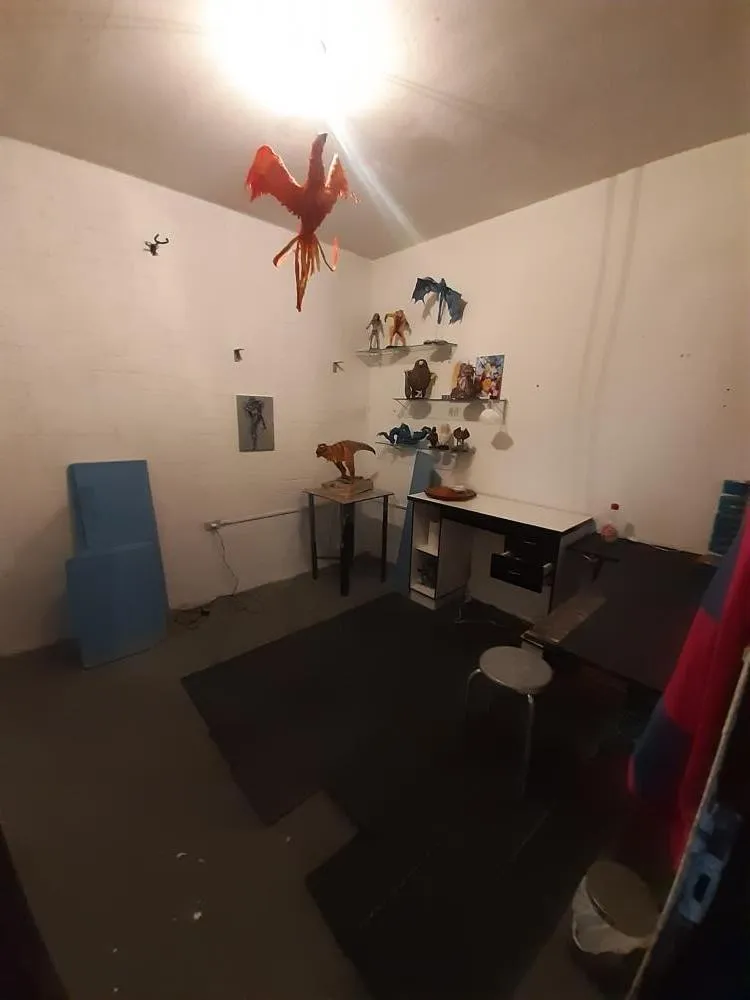 Terreno, 250 m² - Foto 7